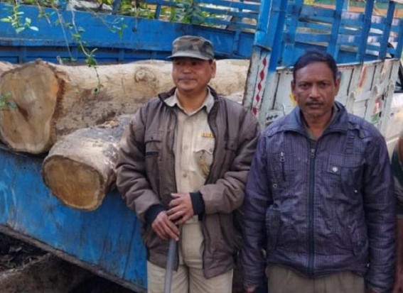 Illegally smuggled timber seized by Bishalgarh forest Department officials
